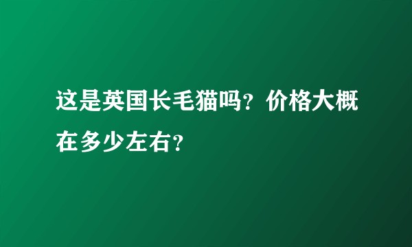 这是英国长毛猫吗？价格大概在多少左右？