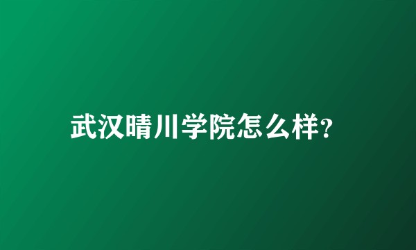 武汉晴川学院怎么样?